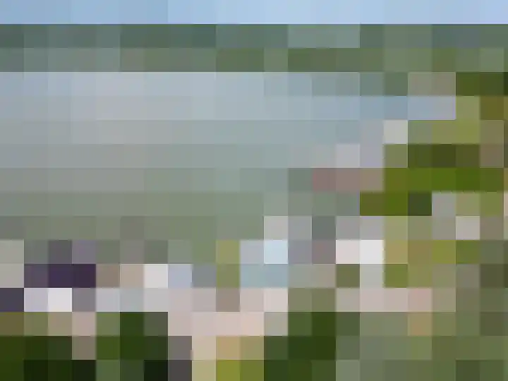 Veense Put 50 Veen thumbnail 7