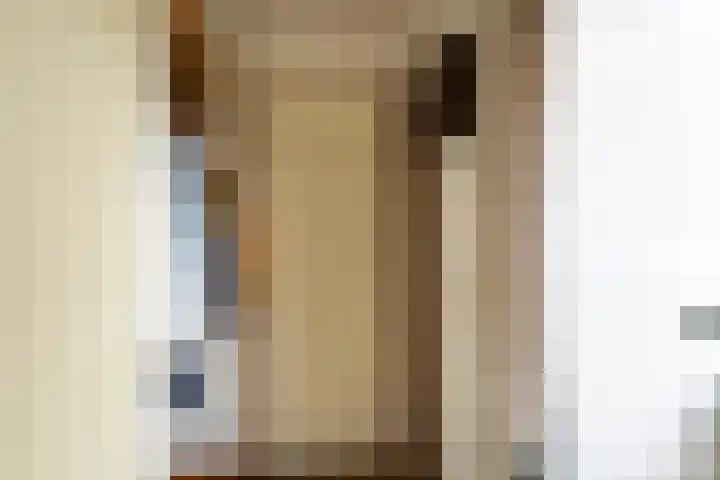 Veense Put 50 Veen thumbnail 8