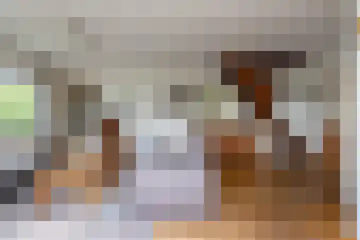 Veense Put 50 Veen thumbnail 9