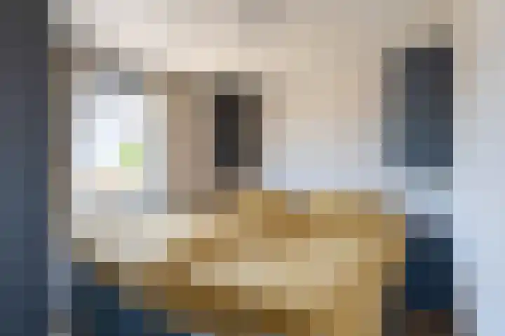 Veense Put 74 Veen thumbnail 13