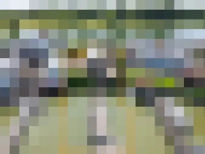 Veense Put 74 Veen thumbnail 4