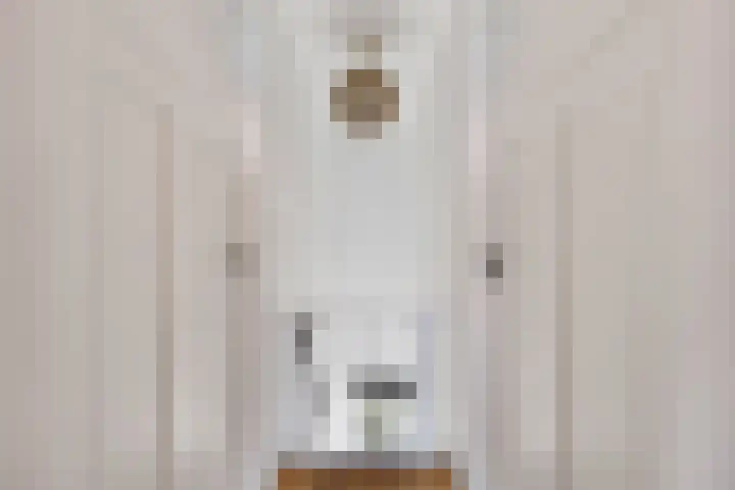 Veense Put 84 Veen thumbnail 14