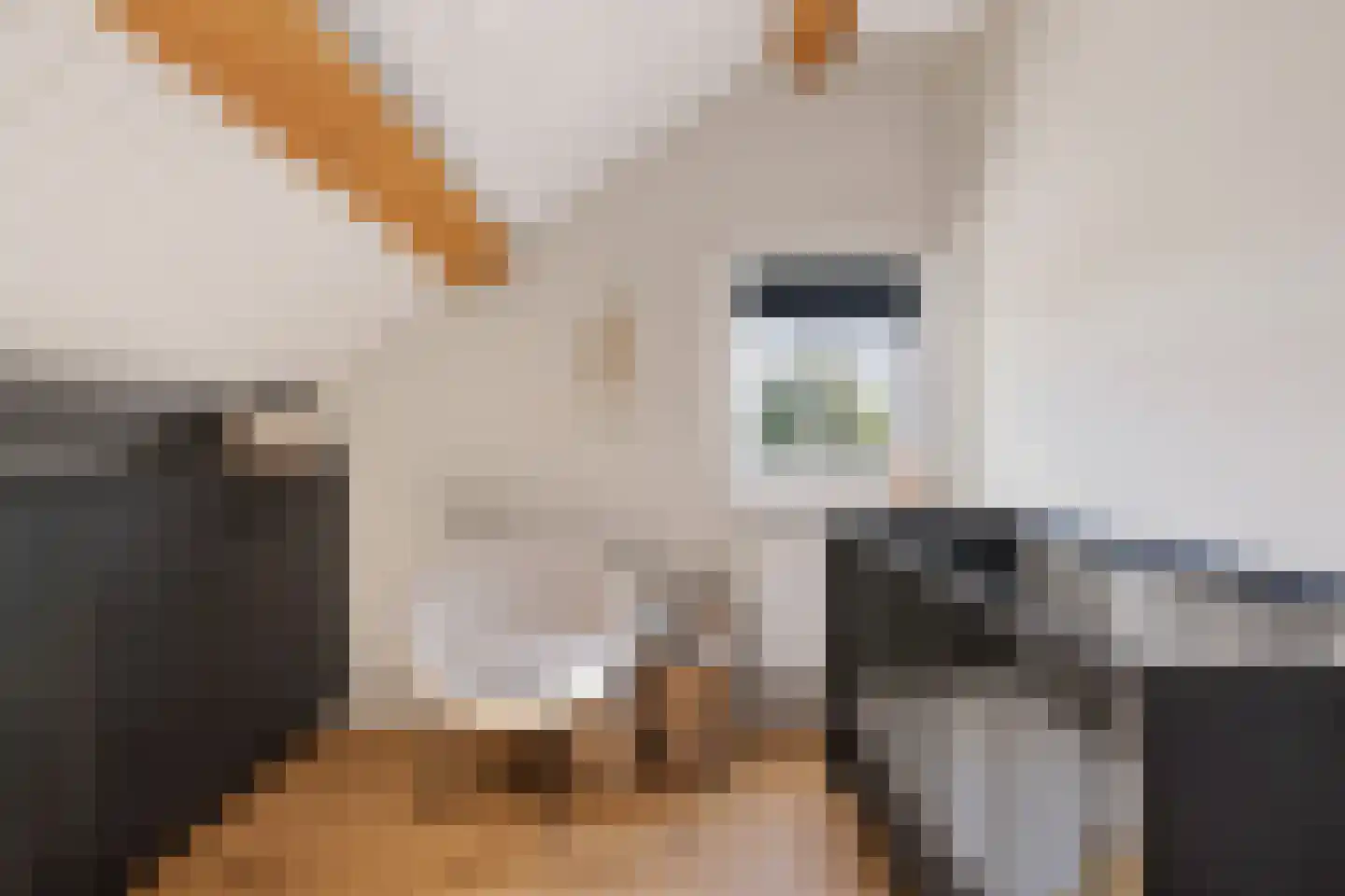 Veense Put 84 Veen thumbnail 18