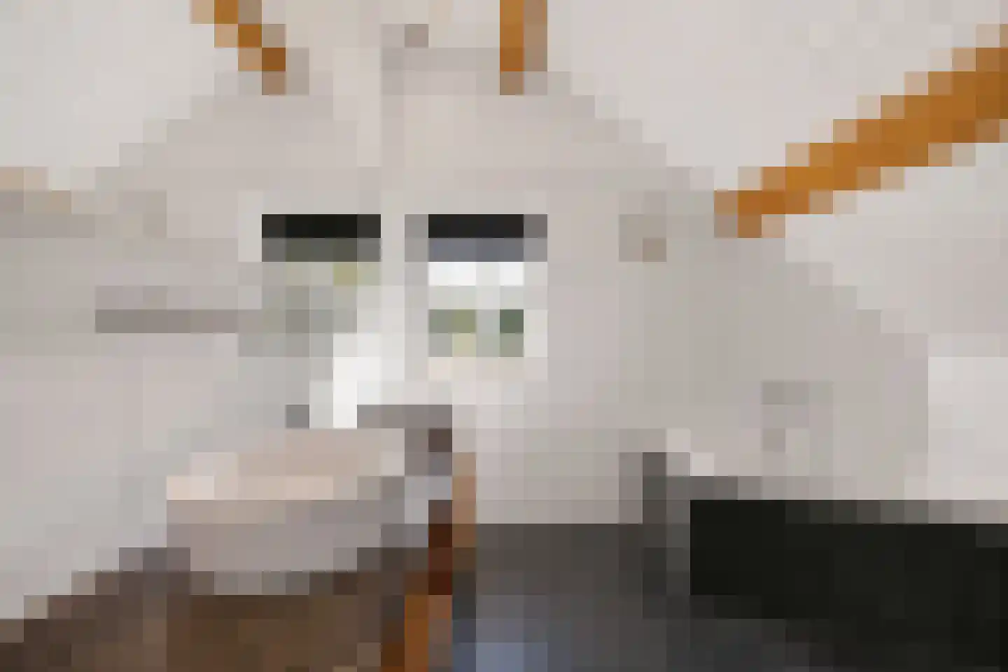 Veense Put 84 Veen thumbnail 20