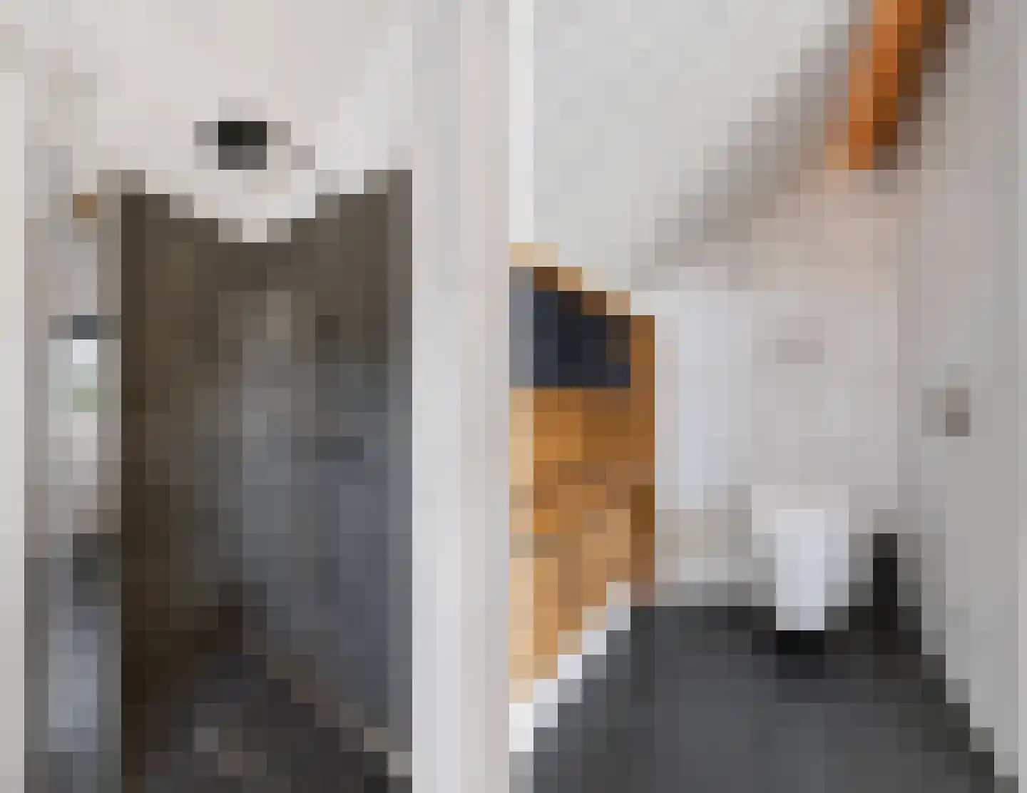 Veense Put 84 Veen thumbnail 23