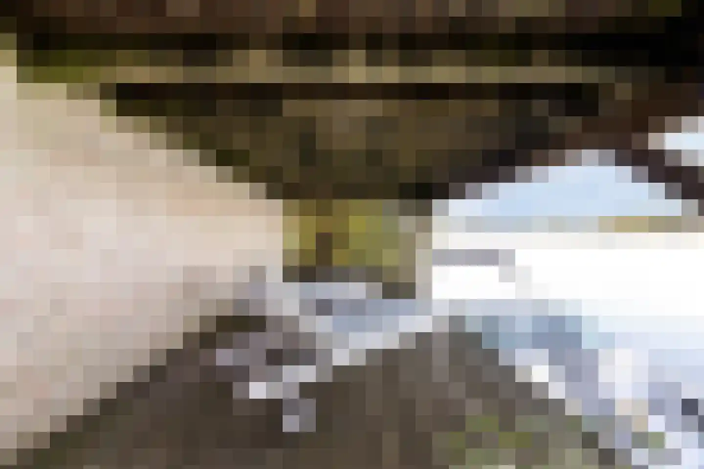 Veense Put 84 Veen thumbnail 33