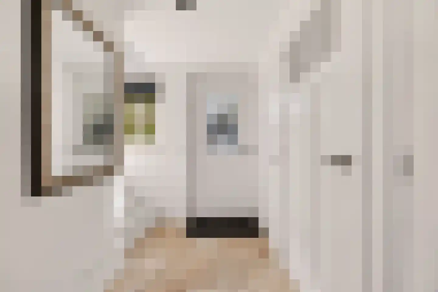 Veense Put 84 Veen thumbnail 5