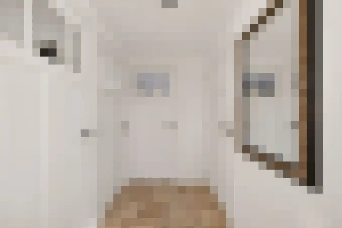 Veense Put 84 Veen thumbnail 6