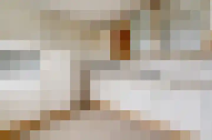Veensekom 19 Leusden thumbnail 11