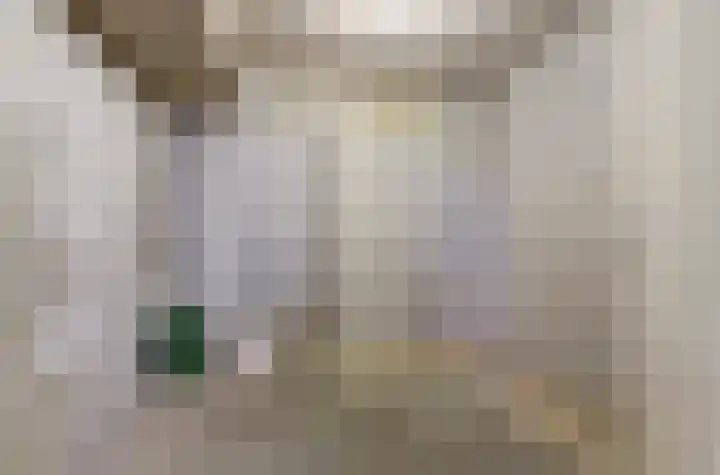 Veensekom 19 Leusden thumbnail 27