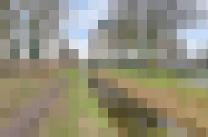 Veensekom 19 Leusden thumbnail 28