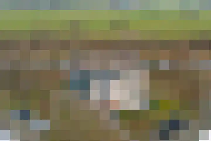 Veensekom 19 Leusden thumbnail 32