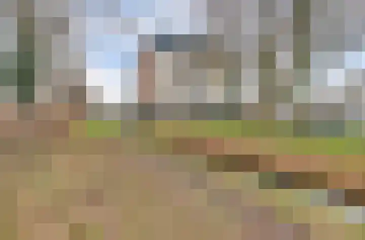 Veensekom 19 Leusden thumbnail 33