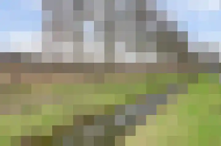 Veensekom 19 Leusden thumbnail 34