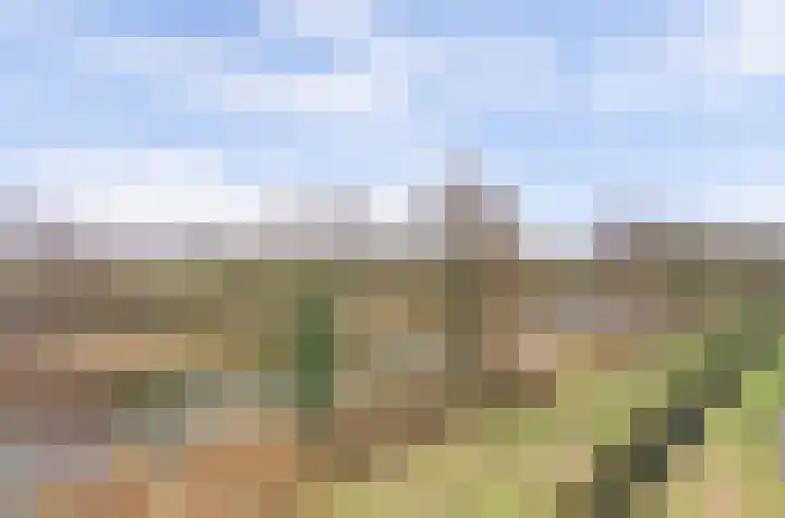 Veensekom 19 Leusden thumbnail 36