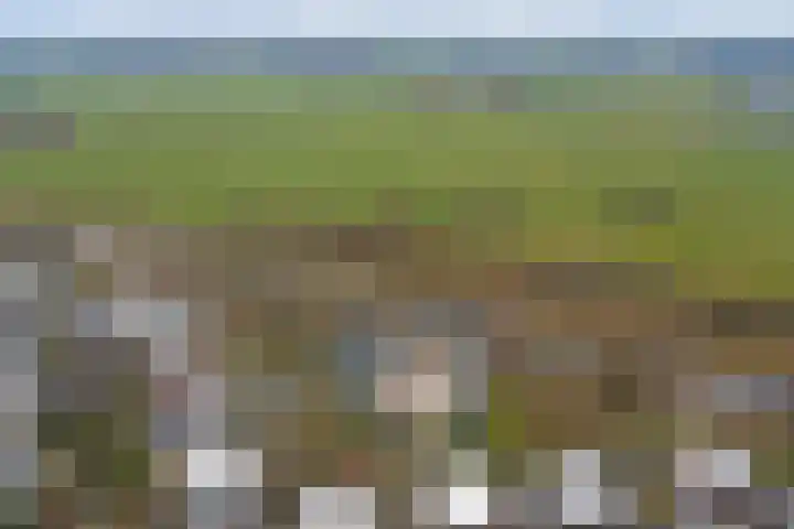 Veensekom 19 Leusden thumbnail 37