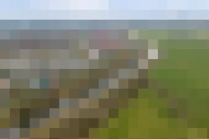Veensekom 19 Leusden thumbnail 39