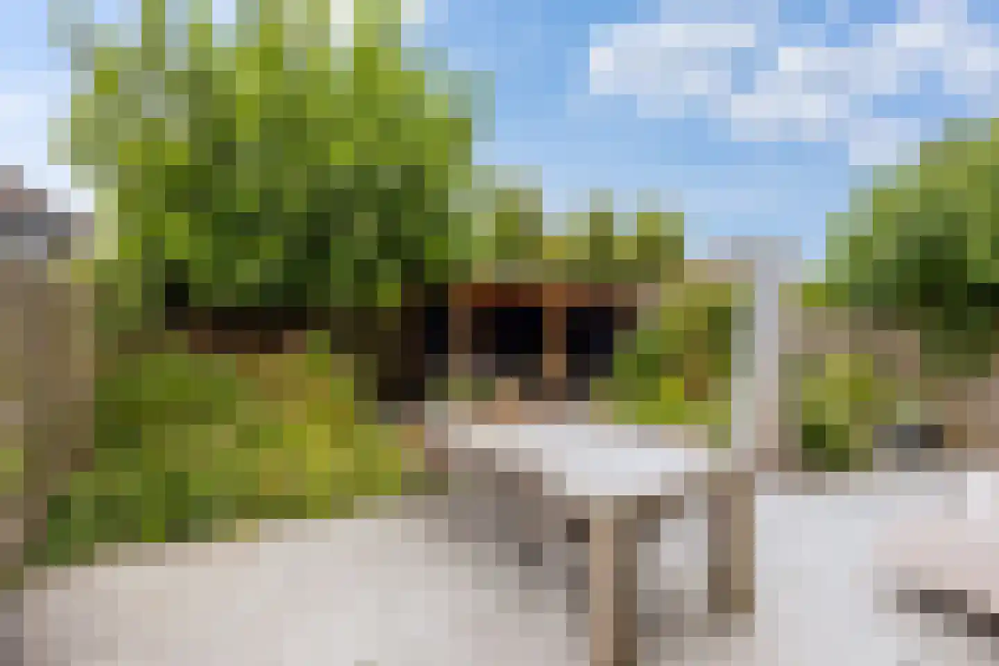 Veensekom 30 Leusden thumbnail 15