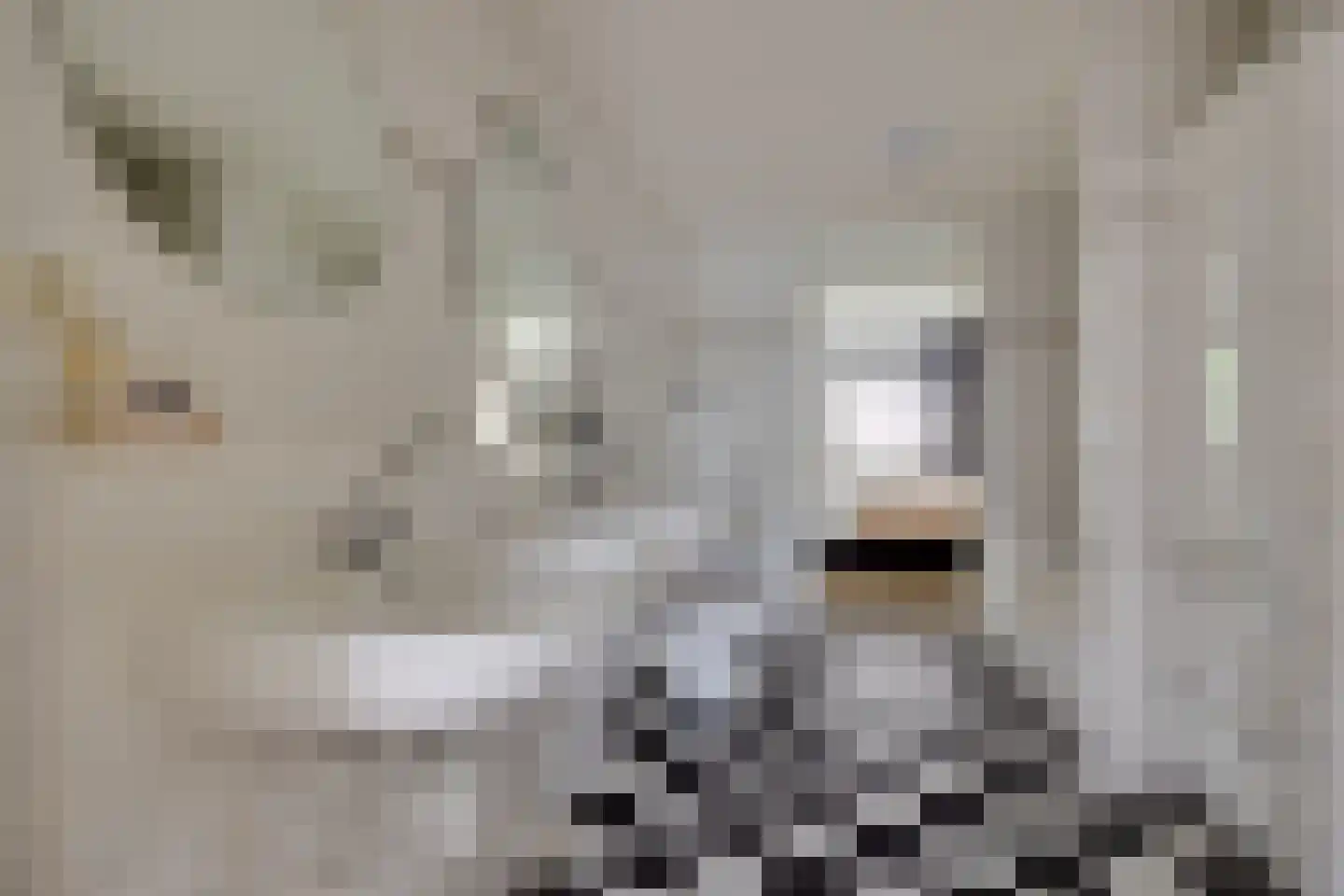 Veensekom 30 Leusden thumbnail 23