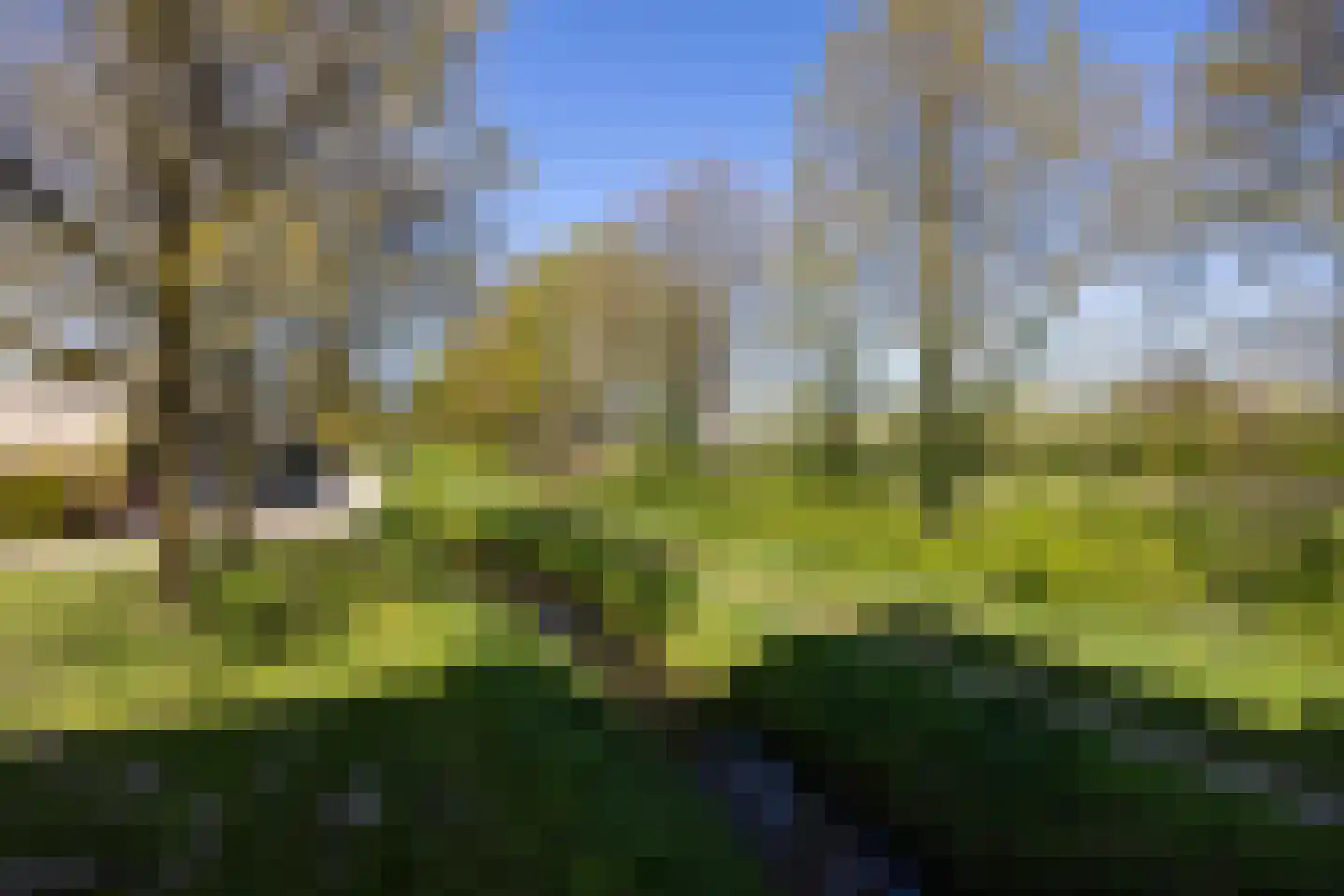 Veensekom 5 Leusden thumbnail 11