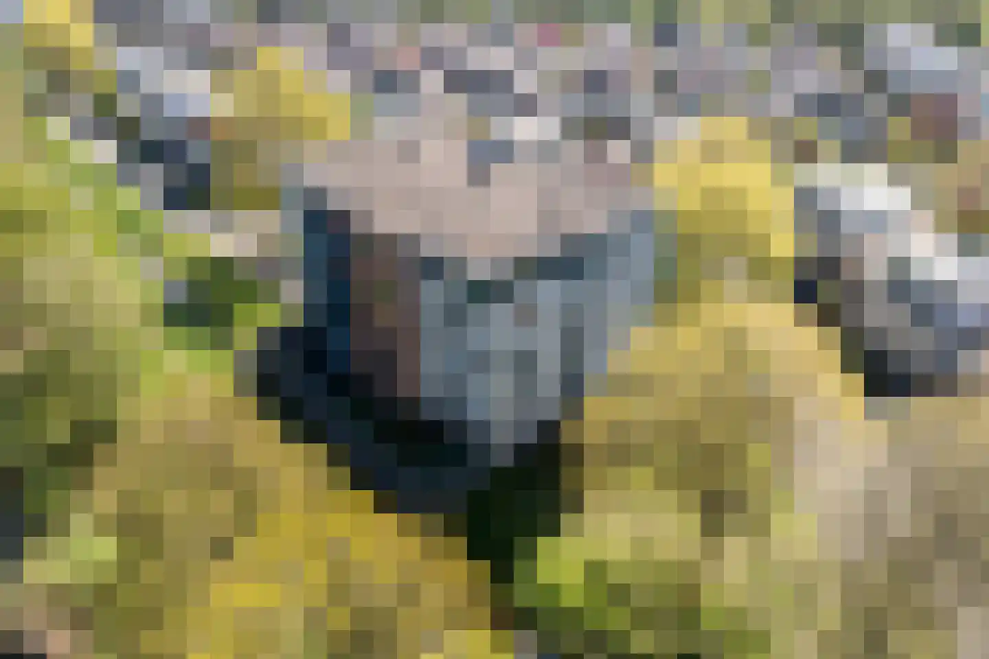 Veensekom 5 Leusden thumbnail 31