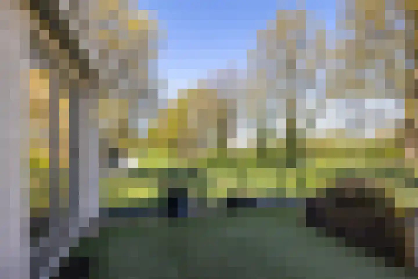 Veensekom 5 Leusden thumbnail 9