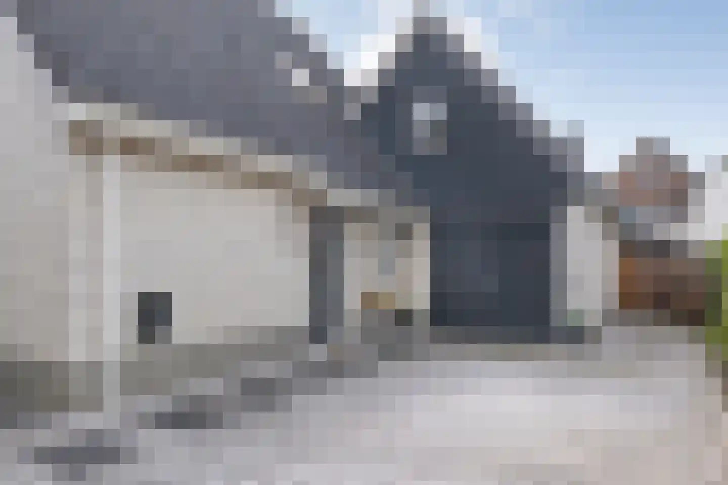 Veenslag 13 Nieuwleusen thumbnail 12