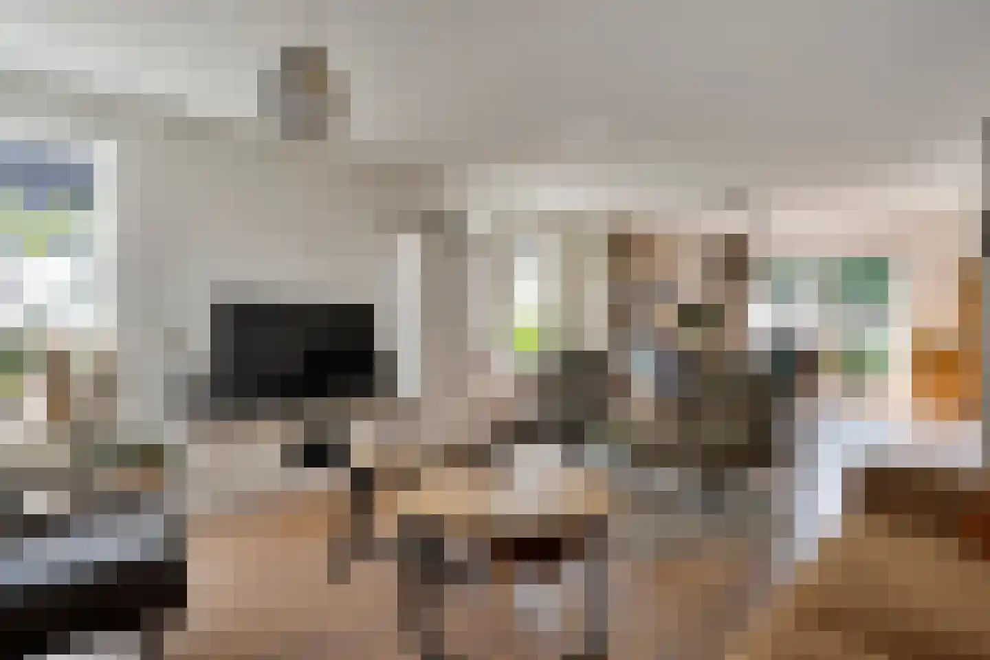 Veenslag 13 Nieuwleusen thumbnail 23