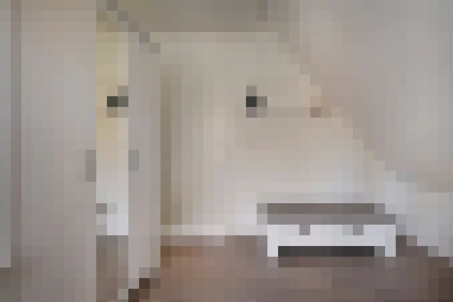 Veenslag 13 Nieuwleusen thumbnail 32