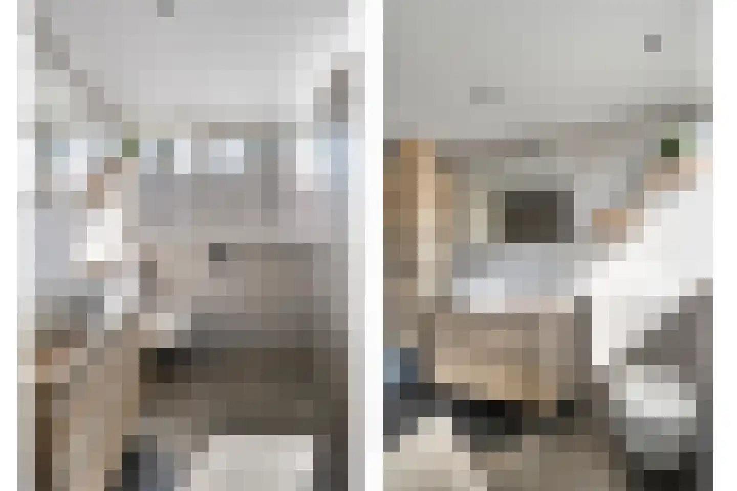 Veenslag 13 Nieuwleusen thumbnail 33