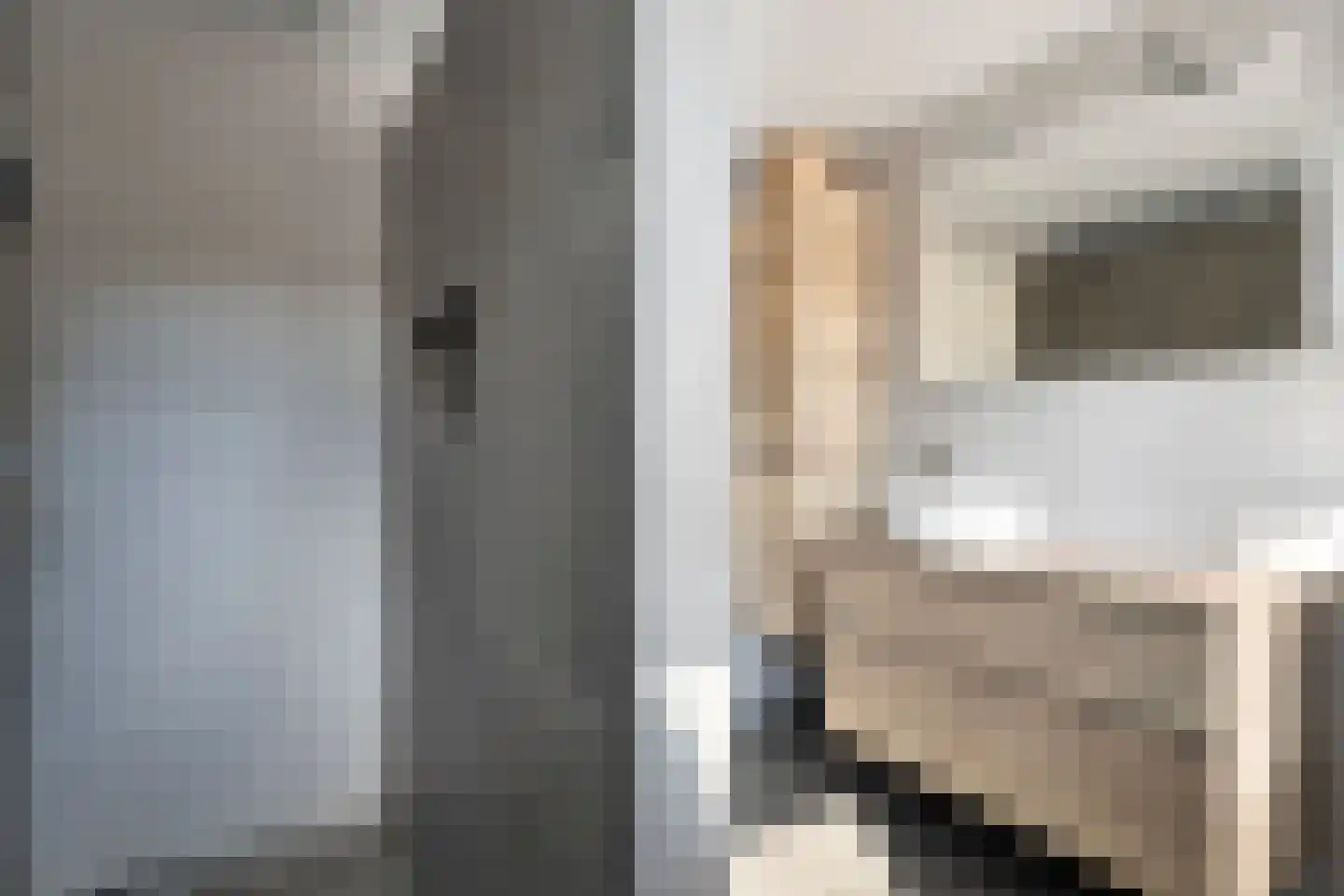 Veenslag 13 Nieuwleusen thumbnail 34