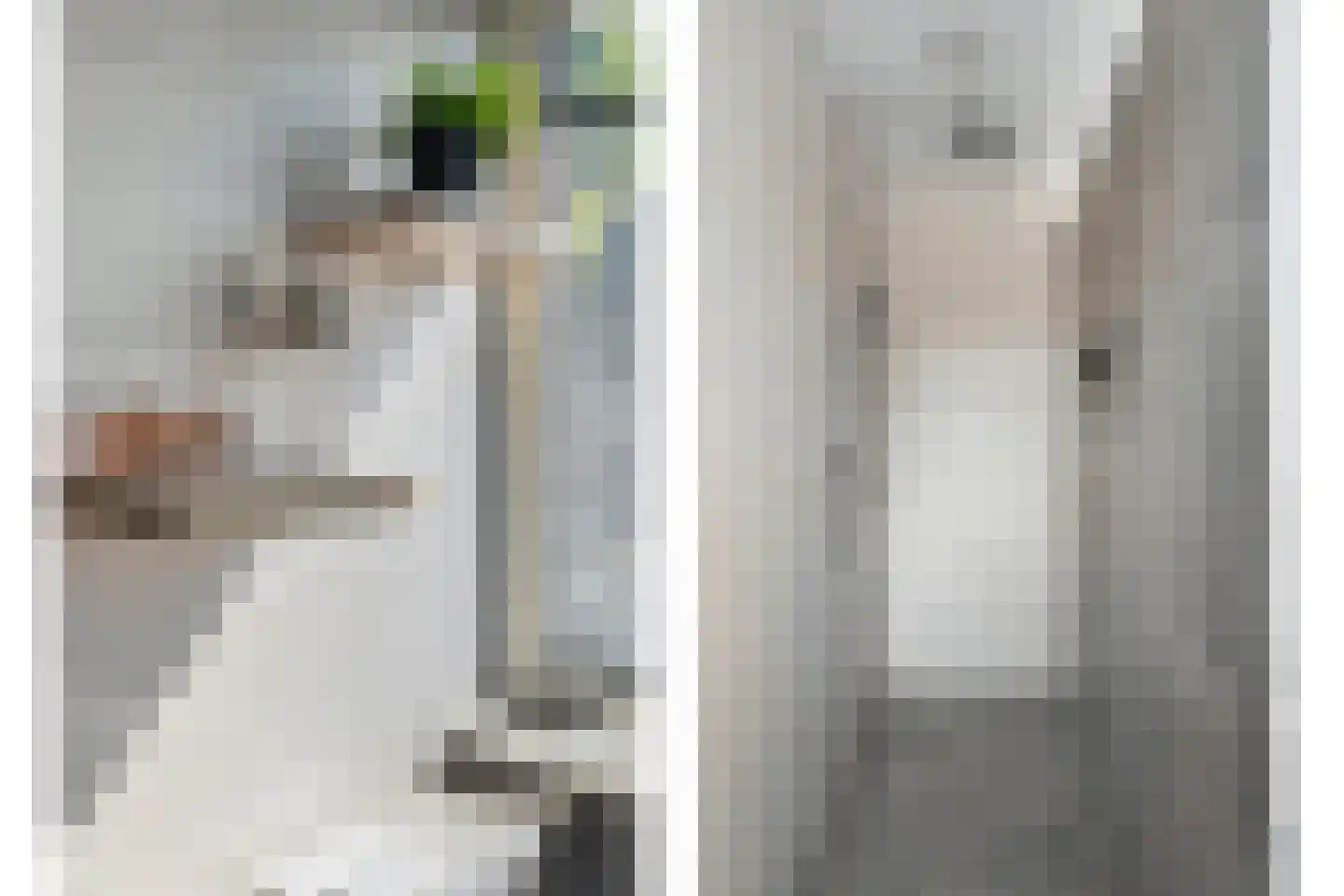 Veenslag 13 Nieuwleusen thumbnail 35