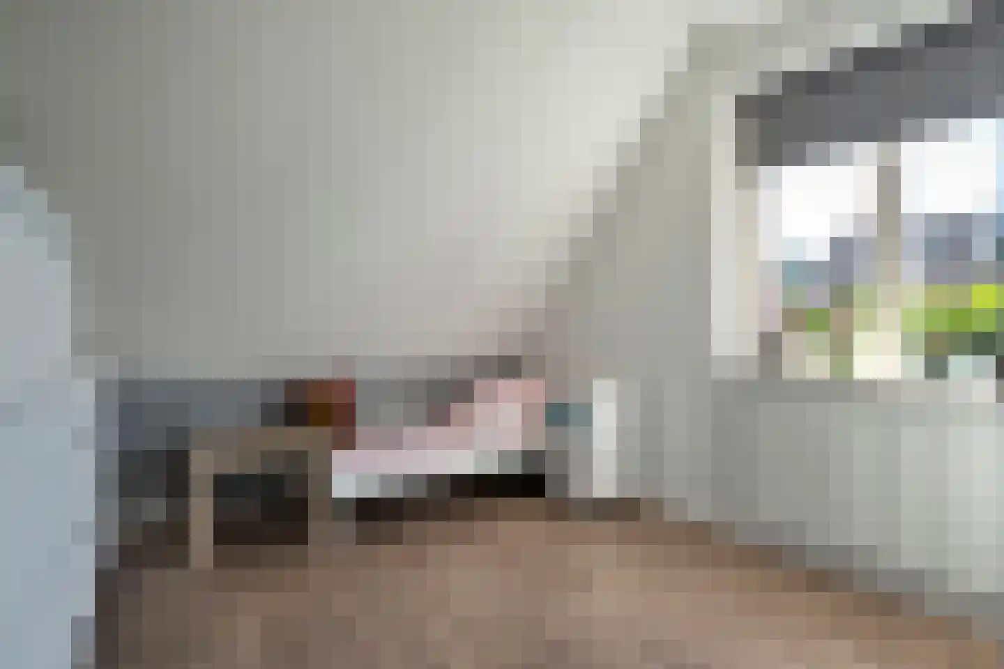 Veenslag 13 Nieuwleusen thumbnail 38
