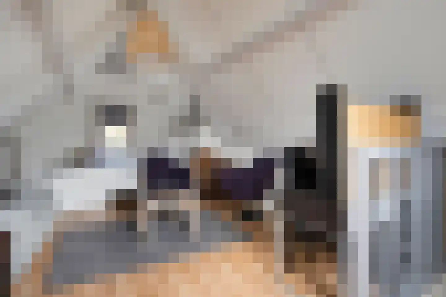 Veenslag 13 Nieuwleusen thumbnail 40