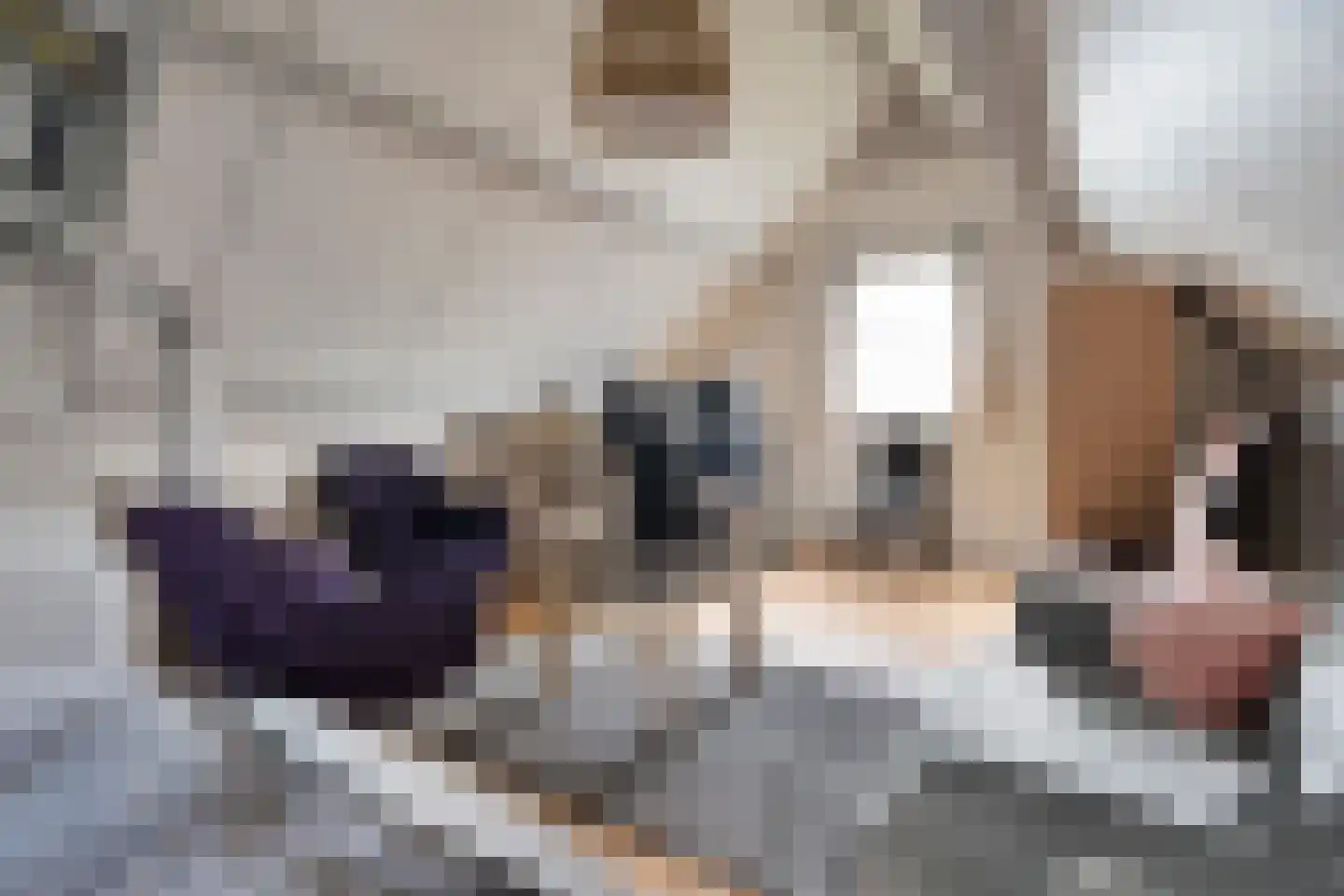 Veenslag 13 Nieuwleusen thumbnail 41