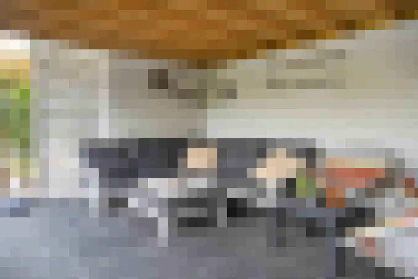 Veenslag 13 Nieuwleusen thumbnail 45