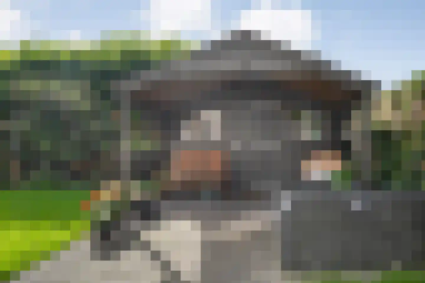 Veenslag 13 Nieuwleusen thumbnail 47