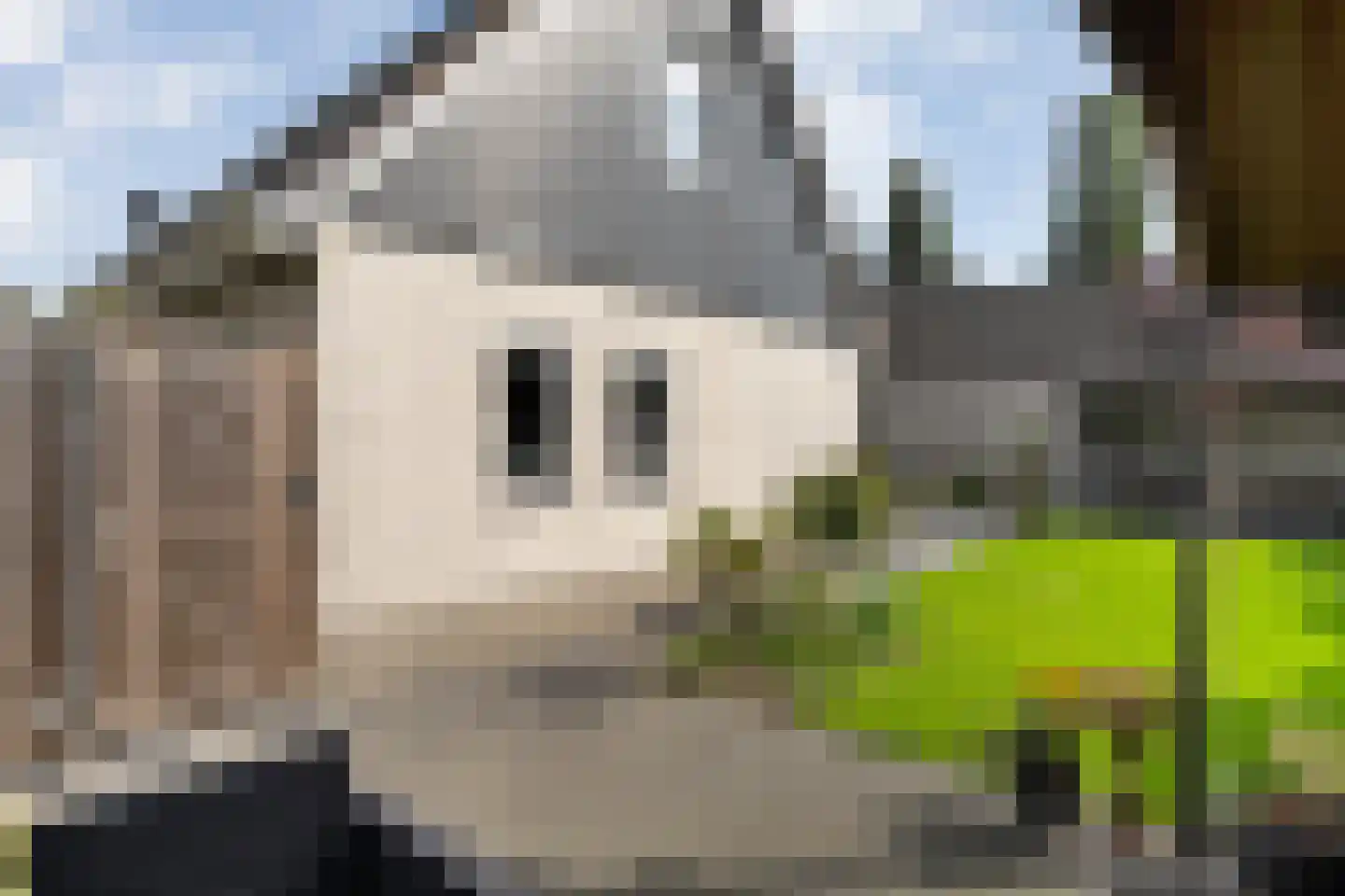 Veenslag 13 Nieuwleusen thumbnail 48