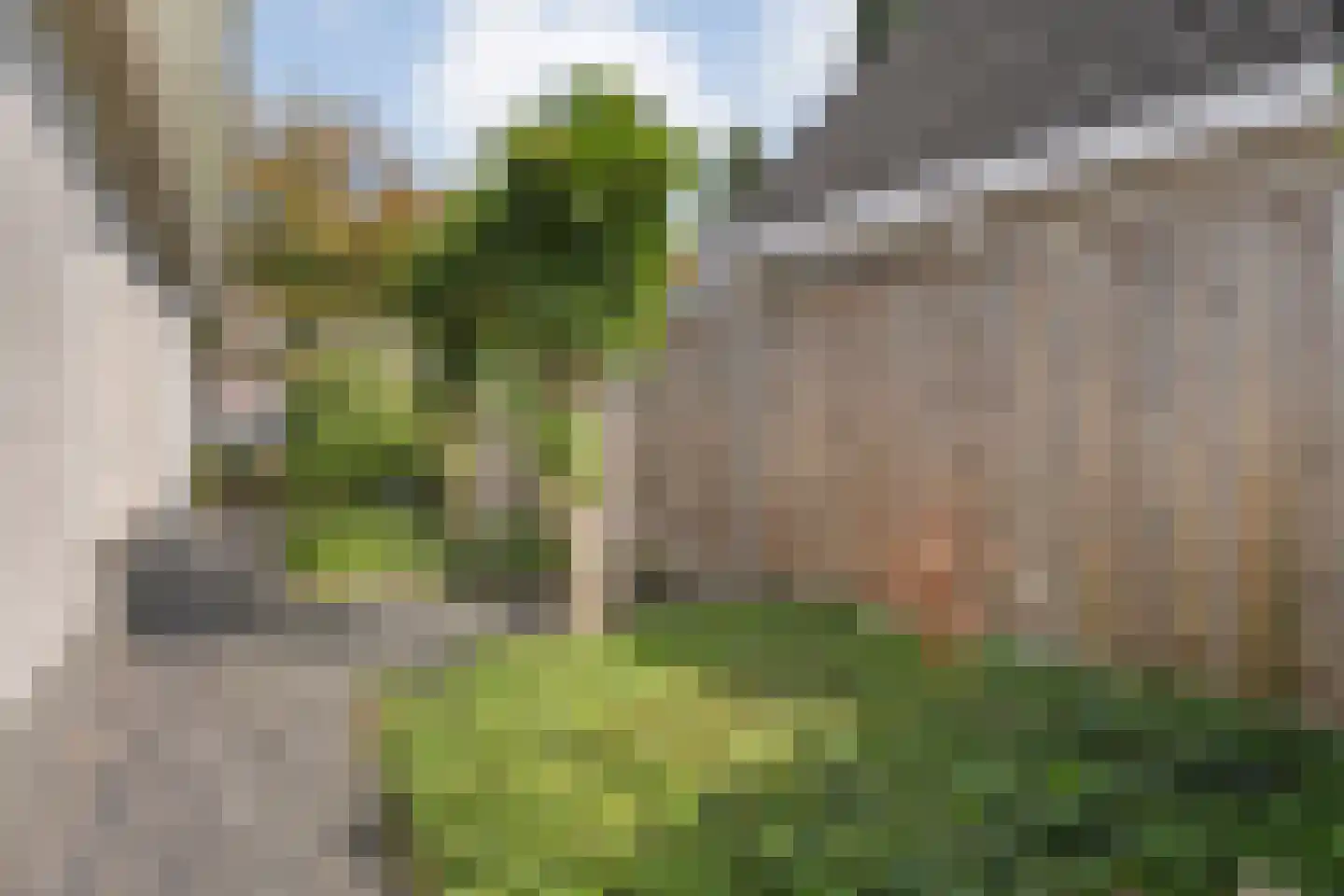 Veenslag 13 Nieuwleusen thumbnail 49
