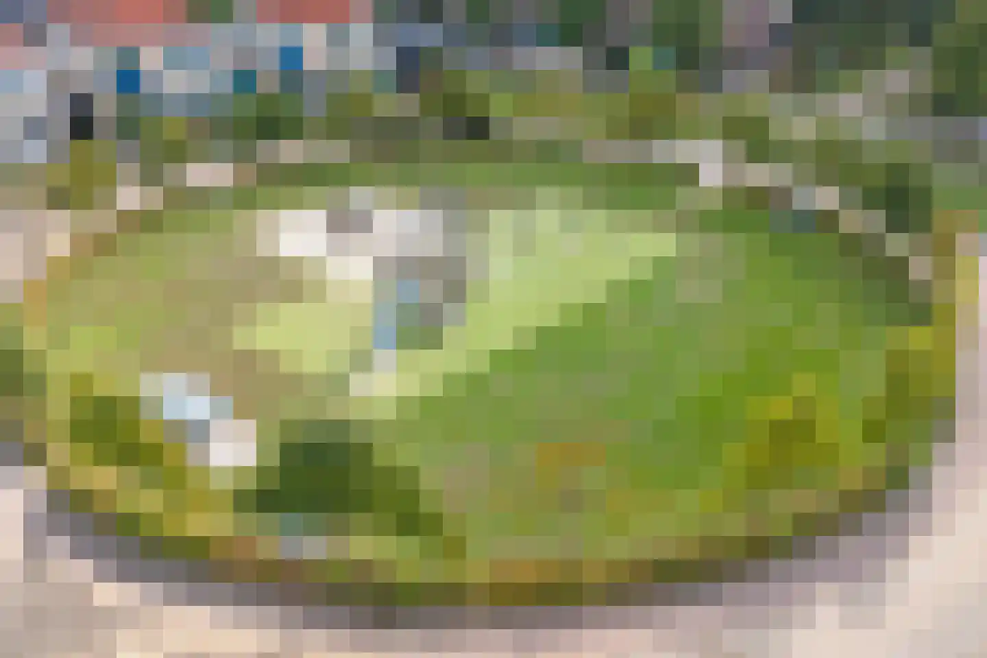 Veenslag 13 Nieuwleusen thumbnail 54