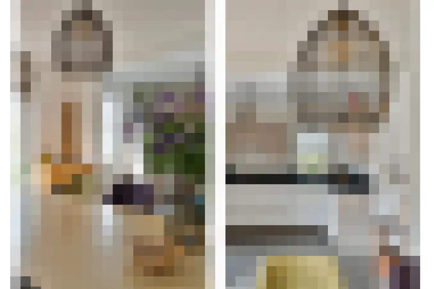 Veenslag 13 Nieuwleusen thumbnail 6