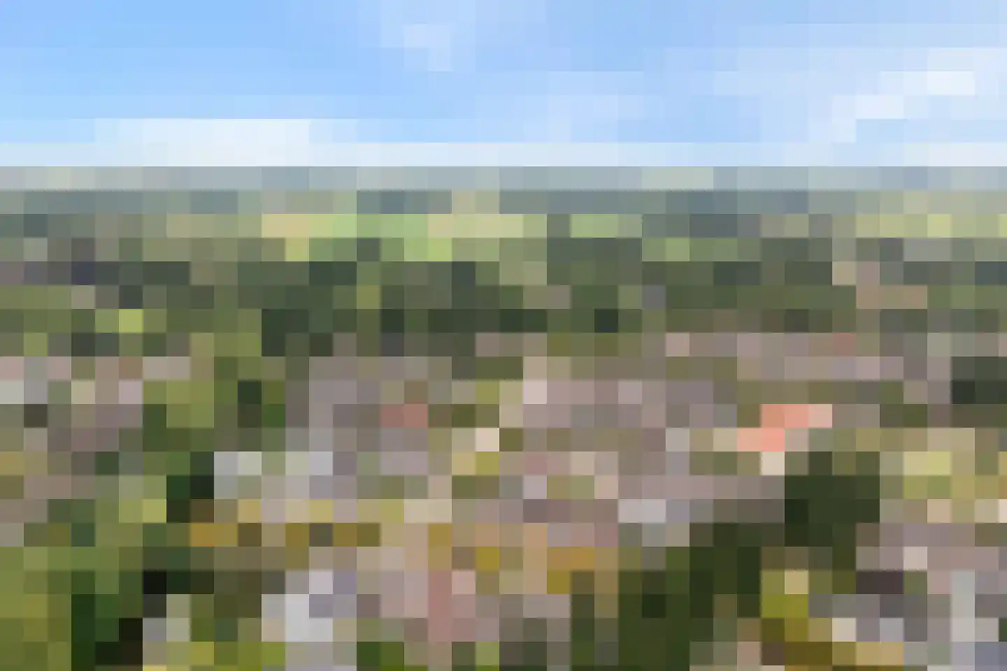 Veenslag 5 Nieuwleusen thumbnail 10
