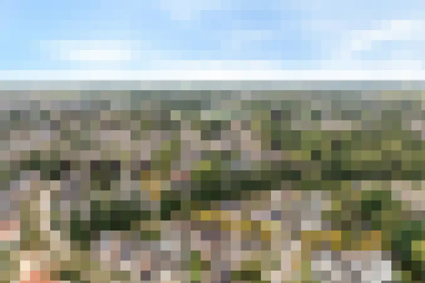 Veenslag 5 Nieuwleusen thumbnail 11