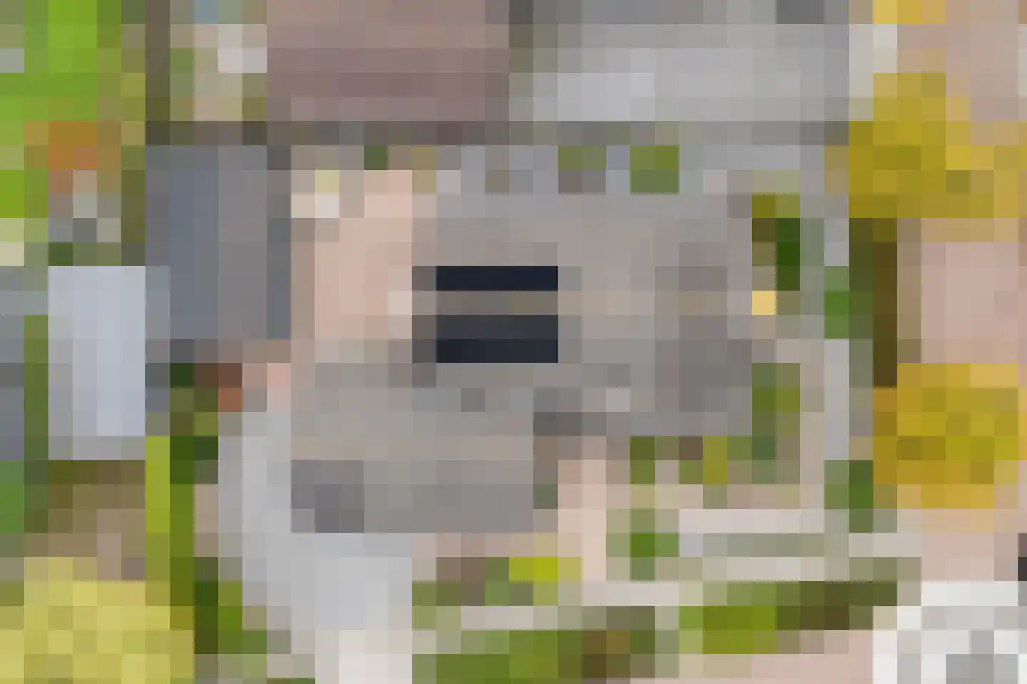 Veenslag 5 Nieuwleusen thumbnail 12