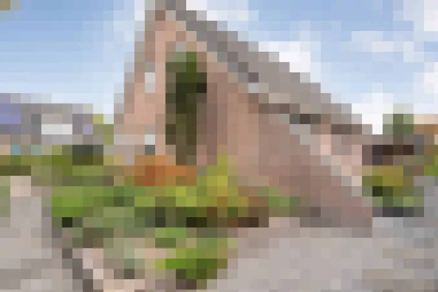 Veenslag 5 Nieuwleusen thumbnail 15