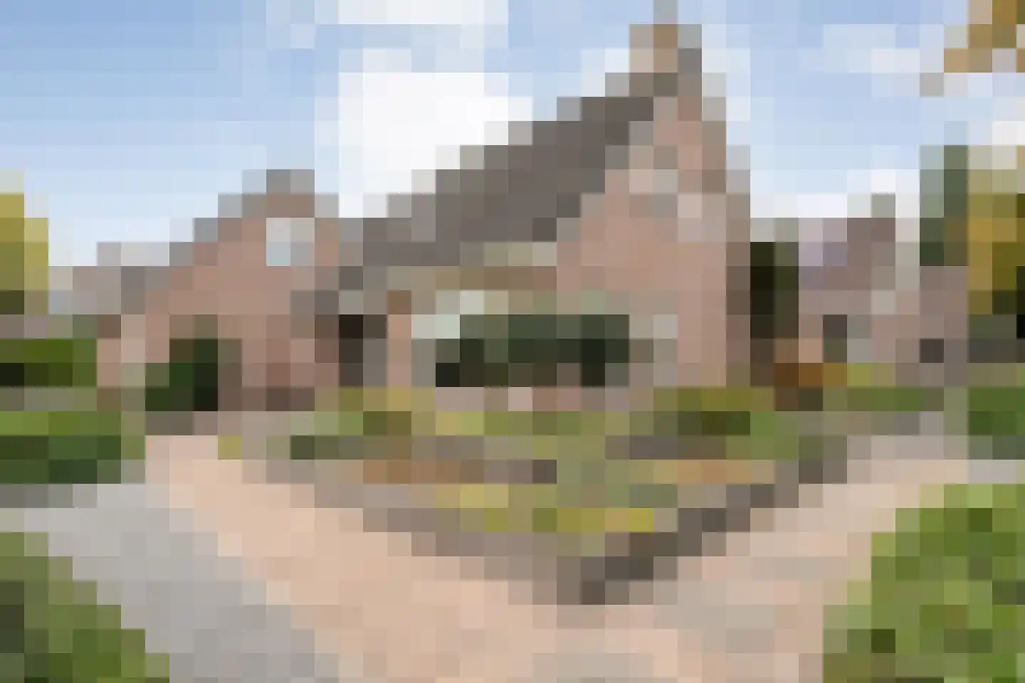 Veenslag 5 Nieuwleusen thumbnail 16