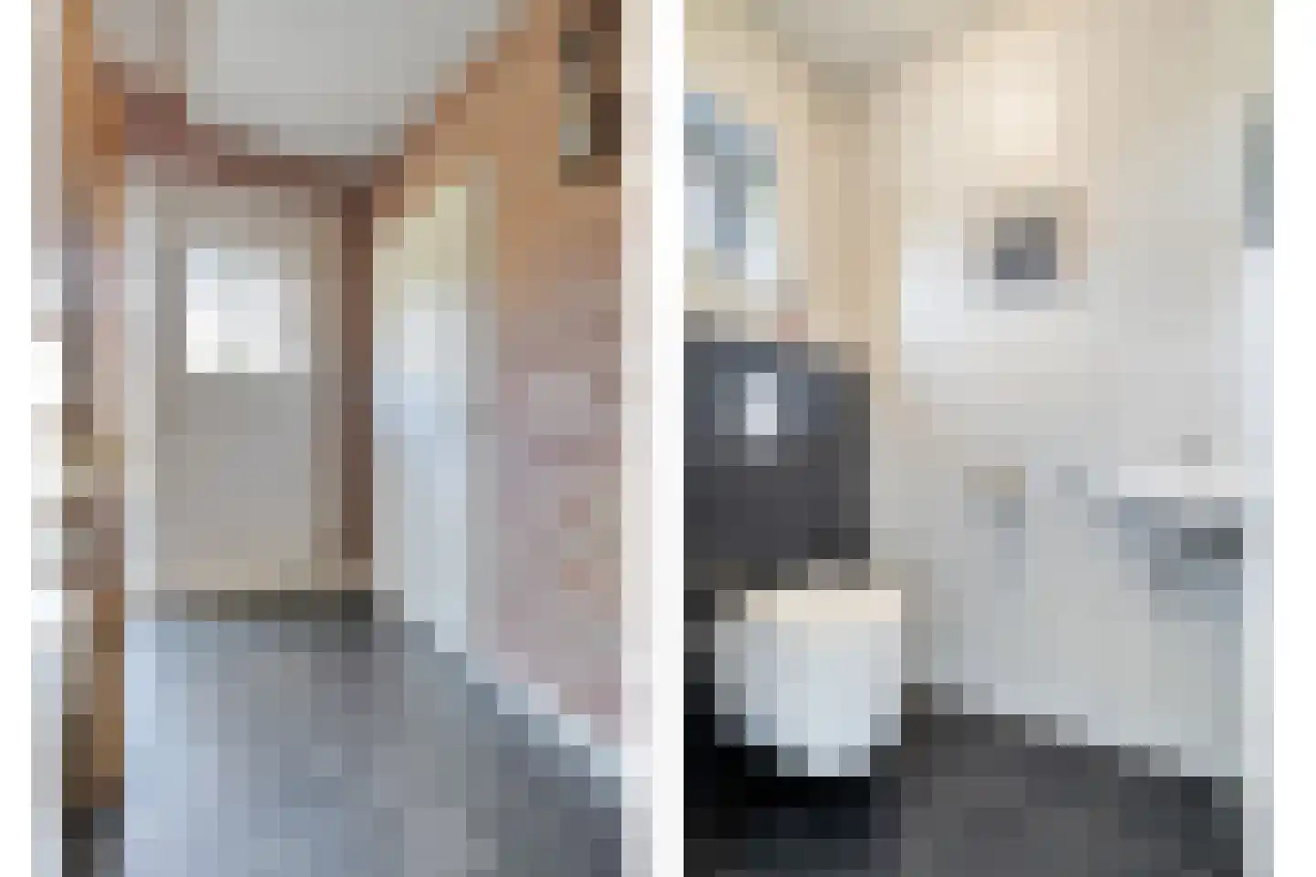 Veenslag 5 Nieuwleusen thumbnail 22