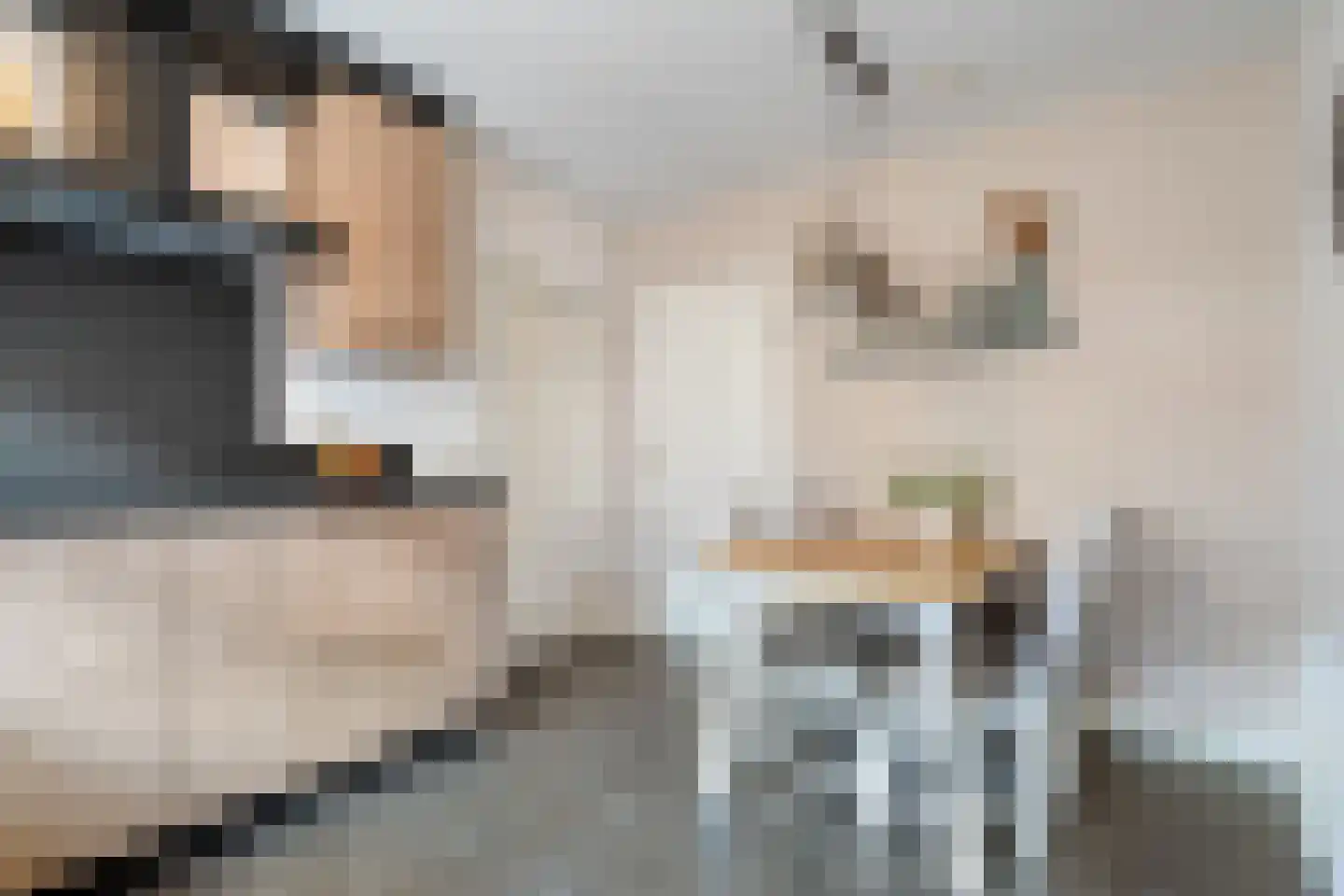 Veenslag 5 Nieuwleusen thumbnail 30