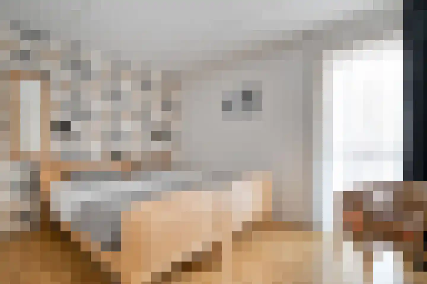 Veenslag 5 Nieuwleusen thumbnail 32