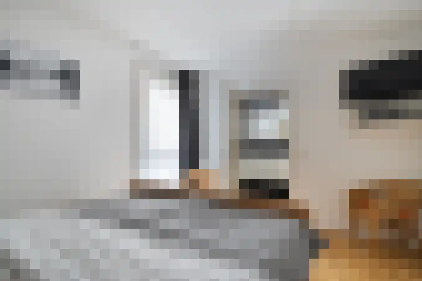 Veenslag 5 Nieuwleusen thumbnail 33